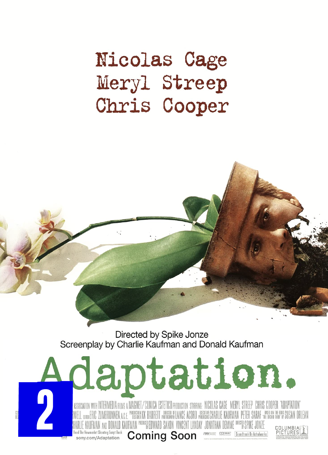 Adaptation