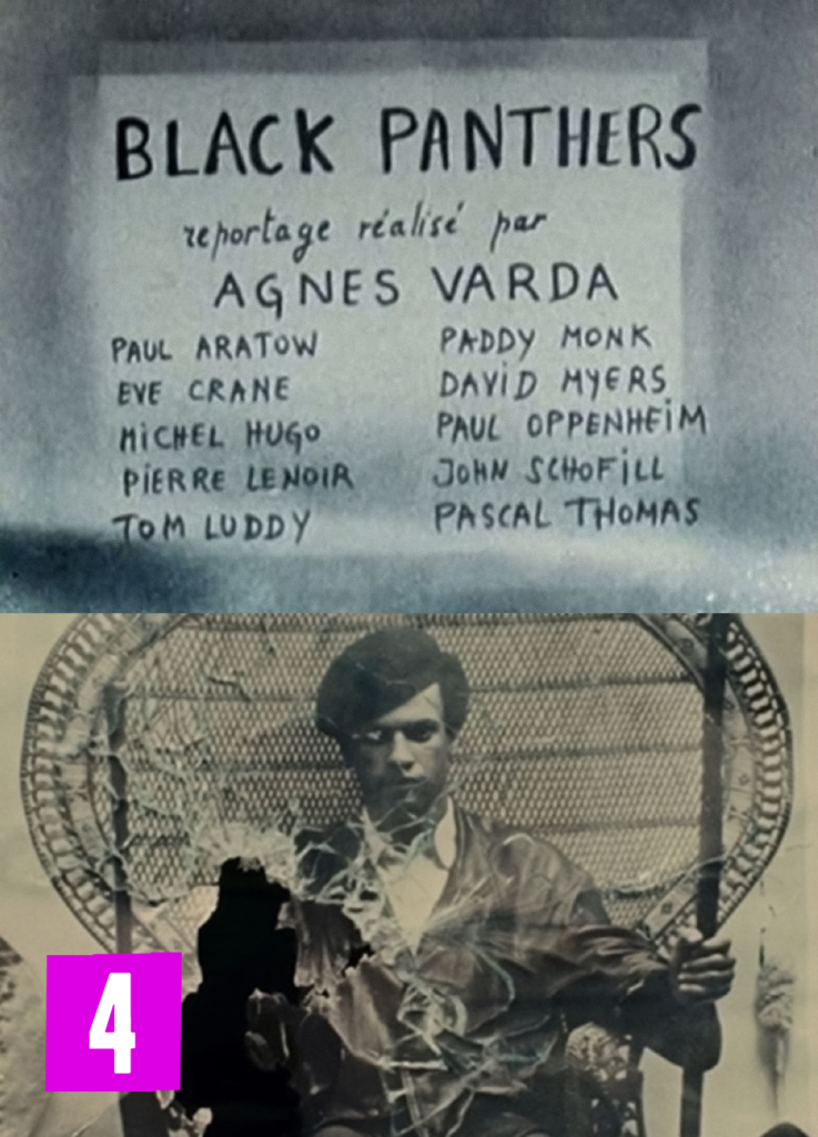 Os Panteras Negras