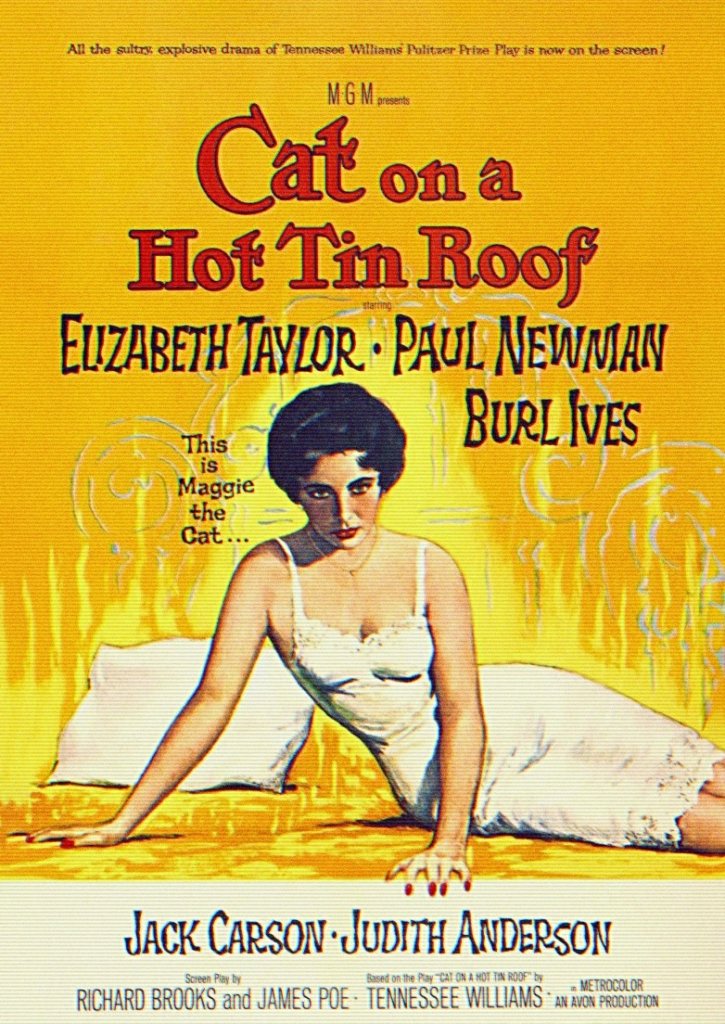 Cat On A Hot Tin Roof