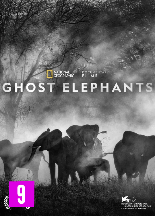 Ghost Elephants