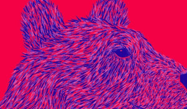 setxsete_74-berlinale_header